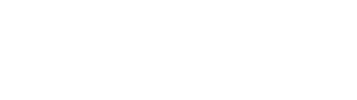 InSur